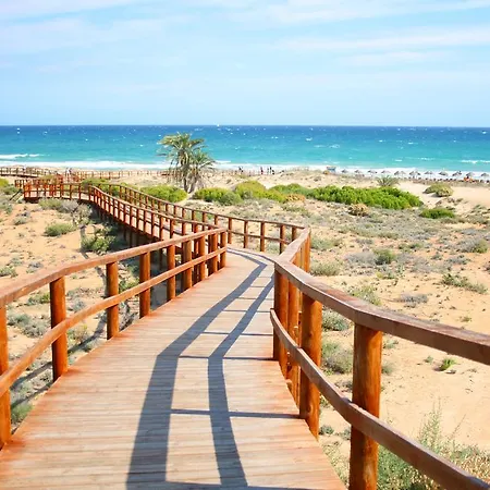 Nova * Alicante